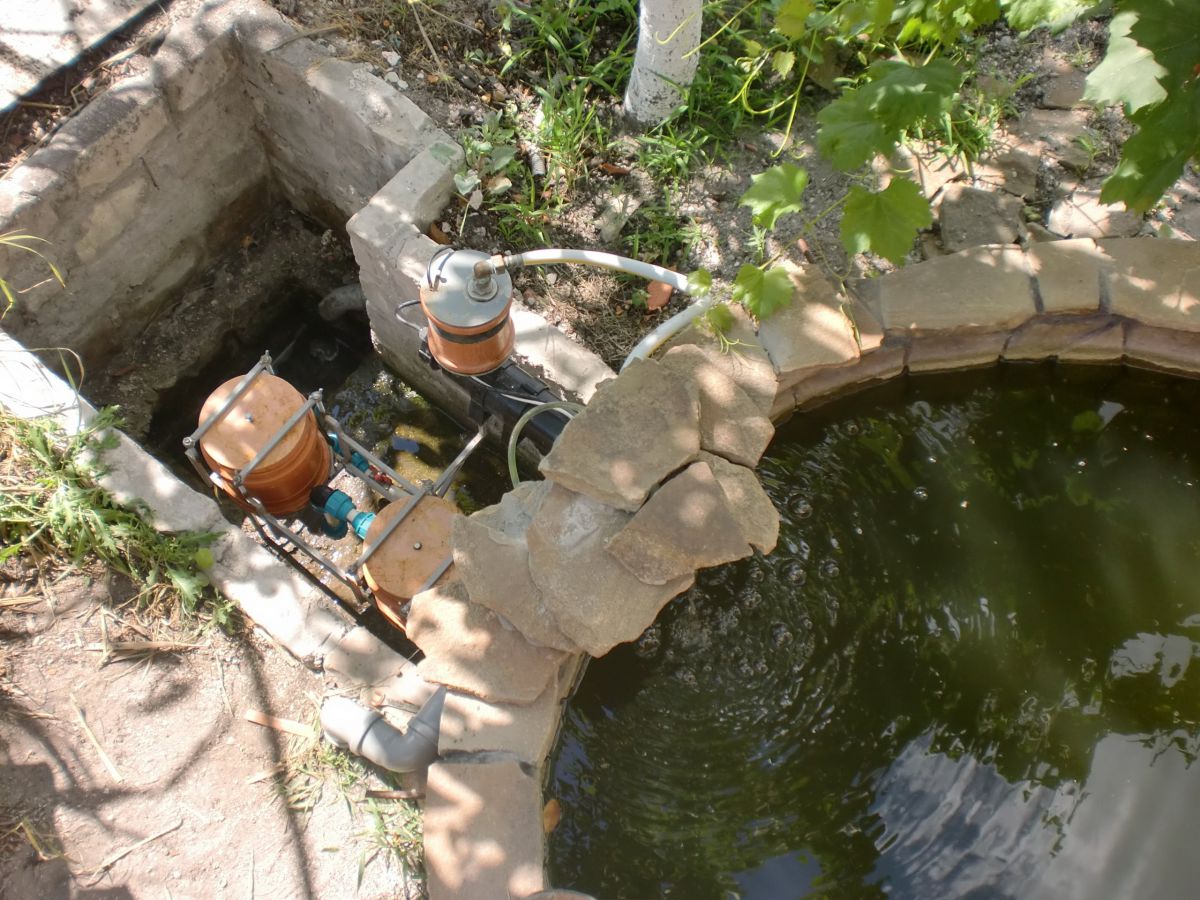Водоемы и пруды на загородном участке. Методы очистки пруда, виды фильтров 4981