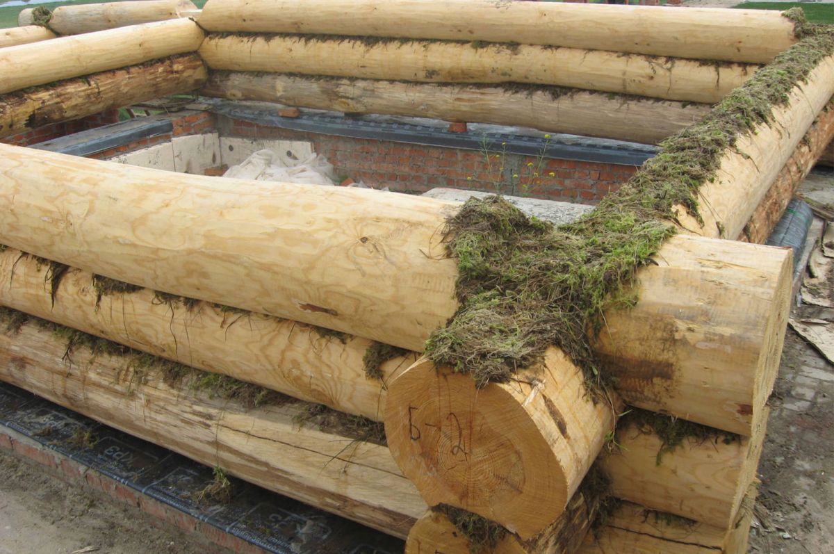 Герметизация деревянных швов 10303
