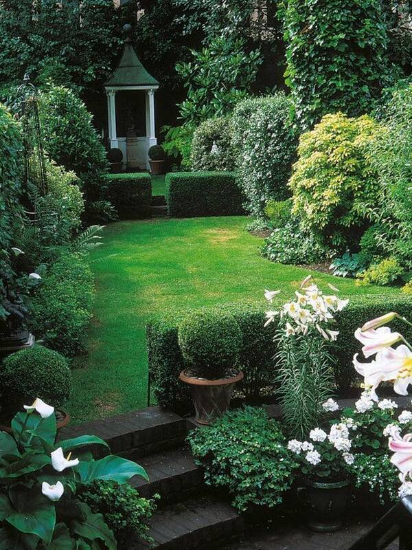 Английский сад 13547