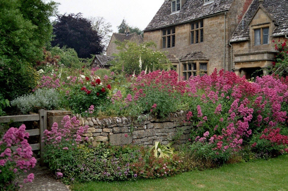 Английский сад 13548