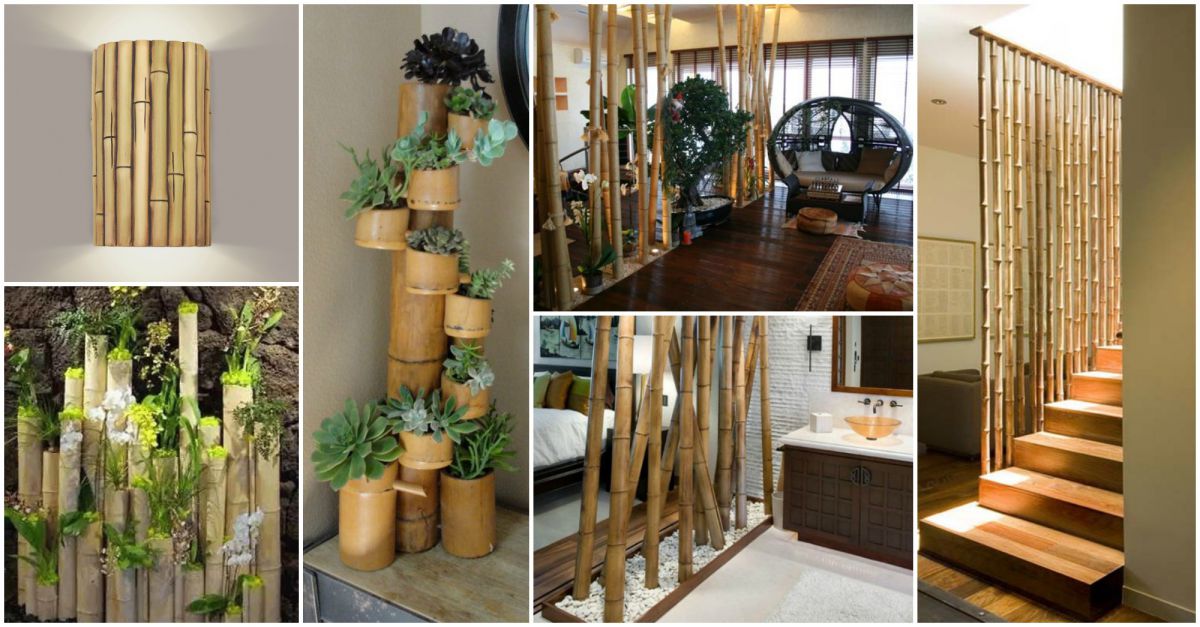 Бамбук в интерьере современной квартиры - практичная экзотика 4231