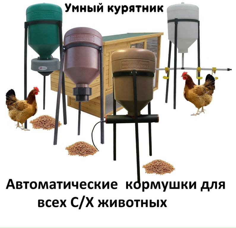 Автоматическая кормушка для кур