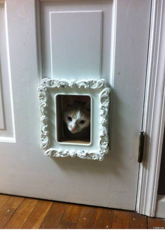 Дверца для кошек