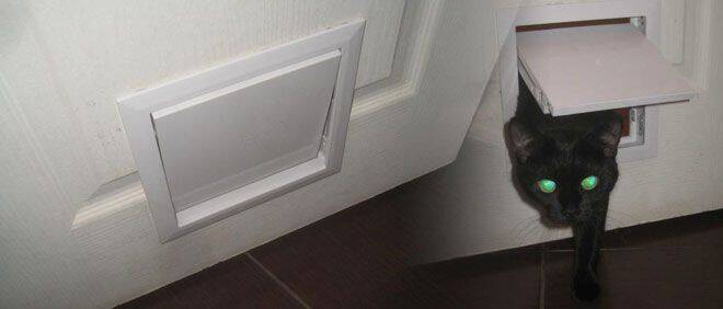 Дверца для кошек 16144