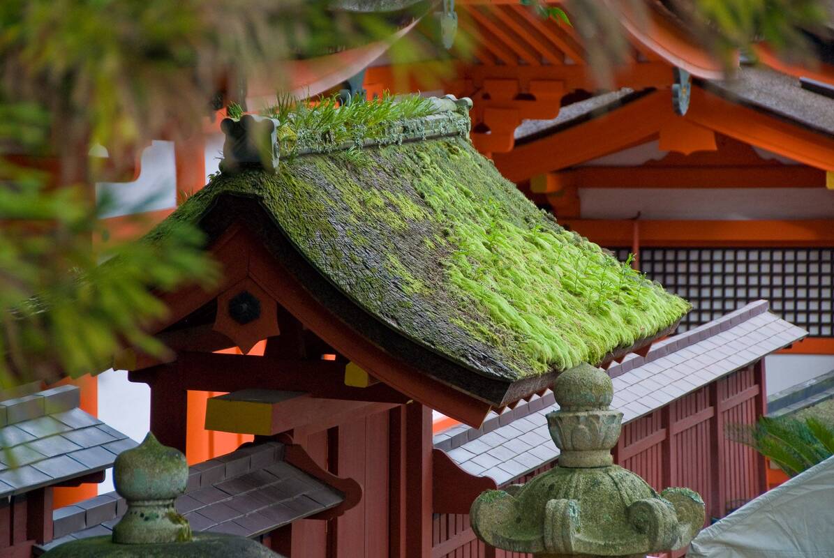 Строительство крыши в японском стиле своими руками