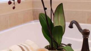 Искусственные цветы в горшках Искусственные цветы в горшках