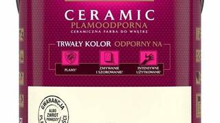 Керамическая краска Керамическая краска