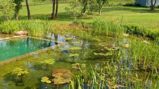 Биоплато Биоплато