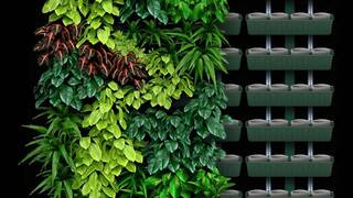 Фитомодуль Фитомодуль