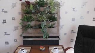 Фитостена Фитостена