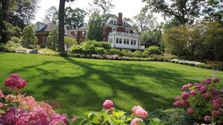 Английский газон Английский газон