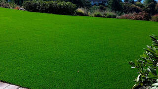 Партерный газон Партерный газон