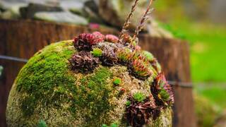 Гипертуф Гипертуф