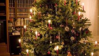 Елка Ретро Елка Ретро