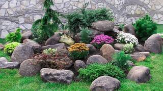 Благоустройство дачного участка Благоустройство дачного участка