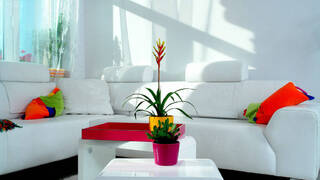 Темная комната Темная комната