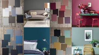 Цвета, видимые человеком Цвета, видимые человеком