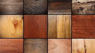 Морилка Морилка